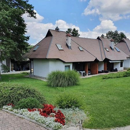 Kraljevi Konaci Olja Apartamento Zlatibor Exterior foto