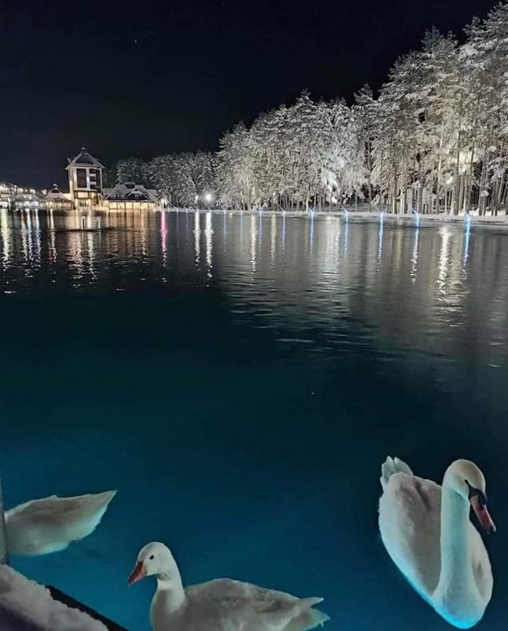 Kraljevi Konaci Olja Apartamento Zlatibor Exterior foto