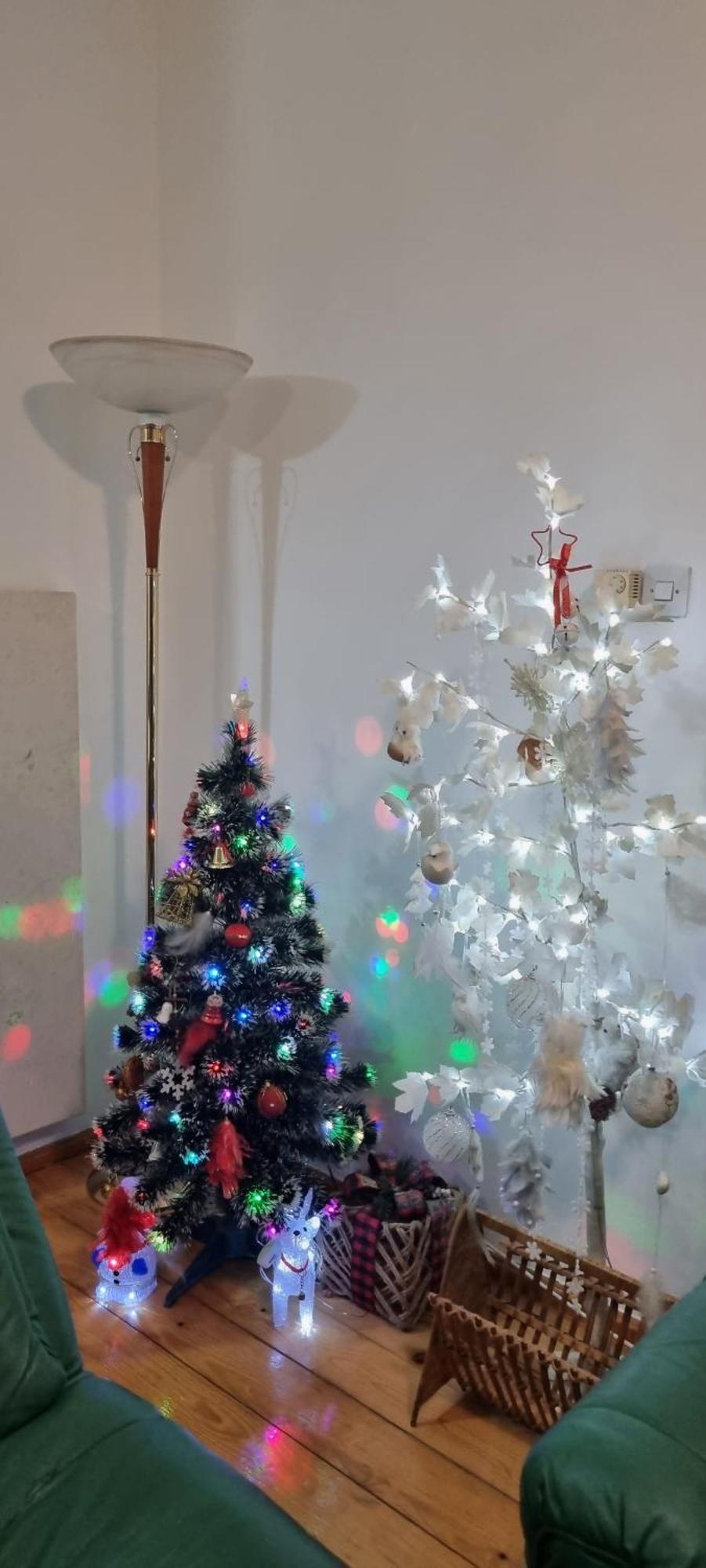 Kraljevi Konaci Olja Apartamento Zlatibor Exterior foto