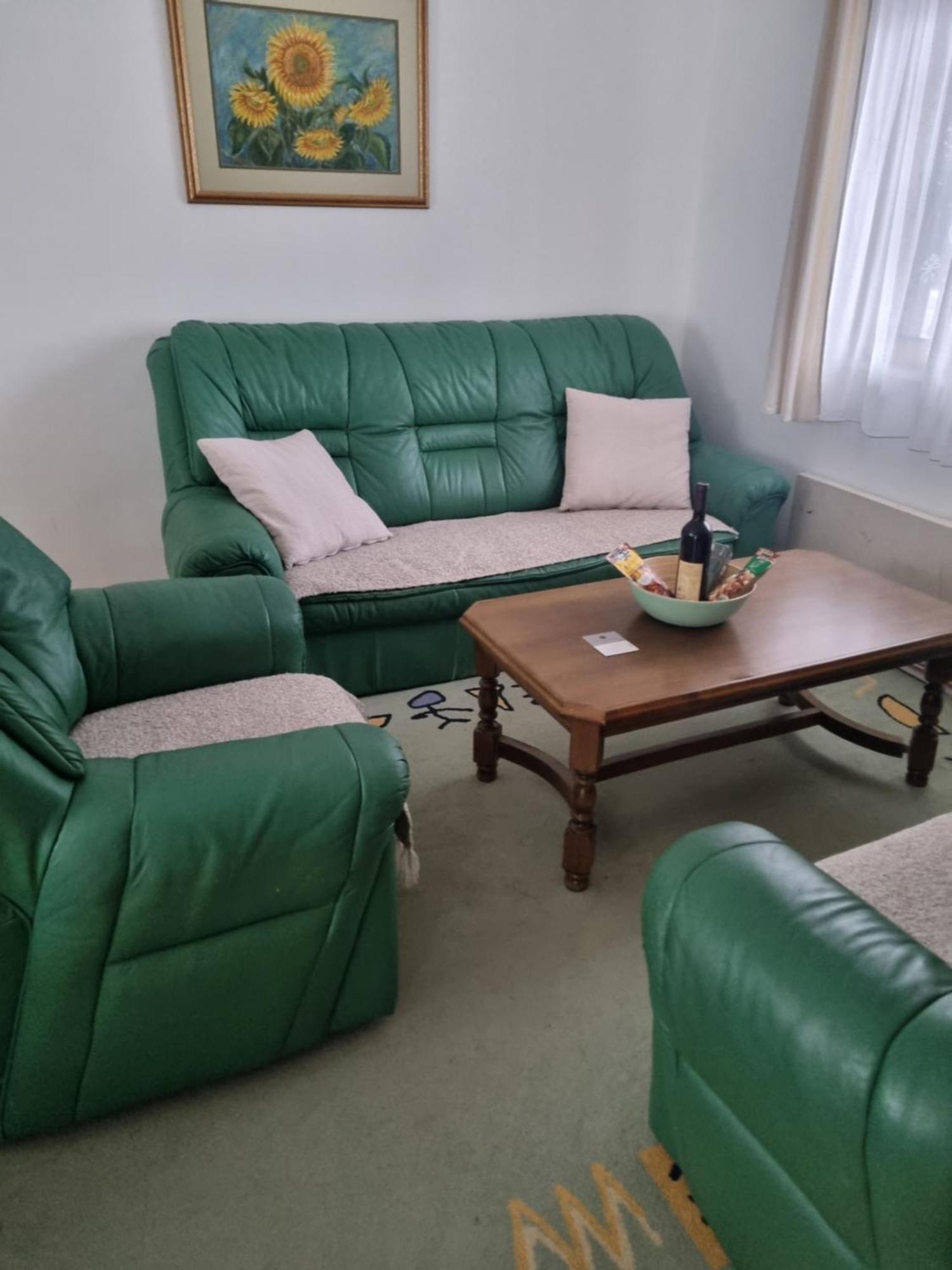 Kraljevi Konaci Olja Apartamento Zlatibor Exterior foto